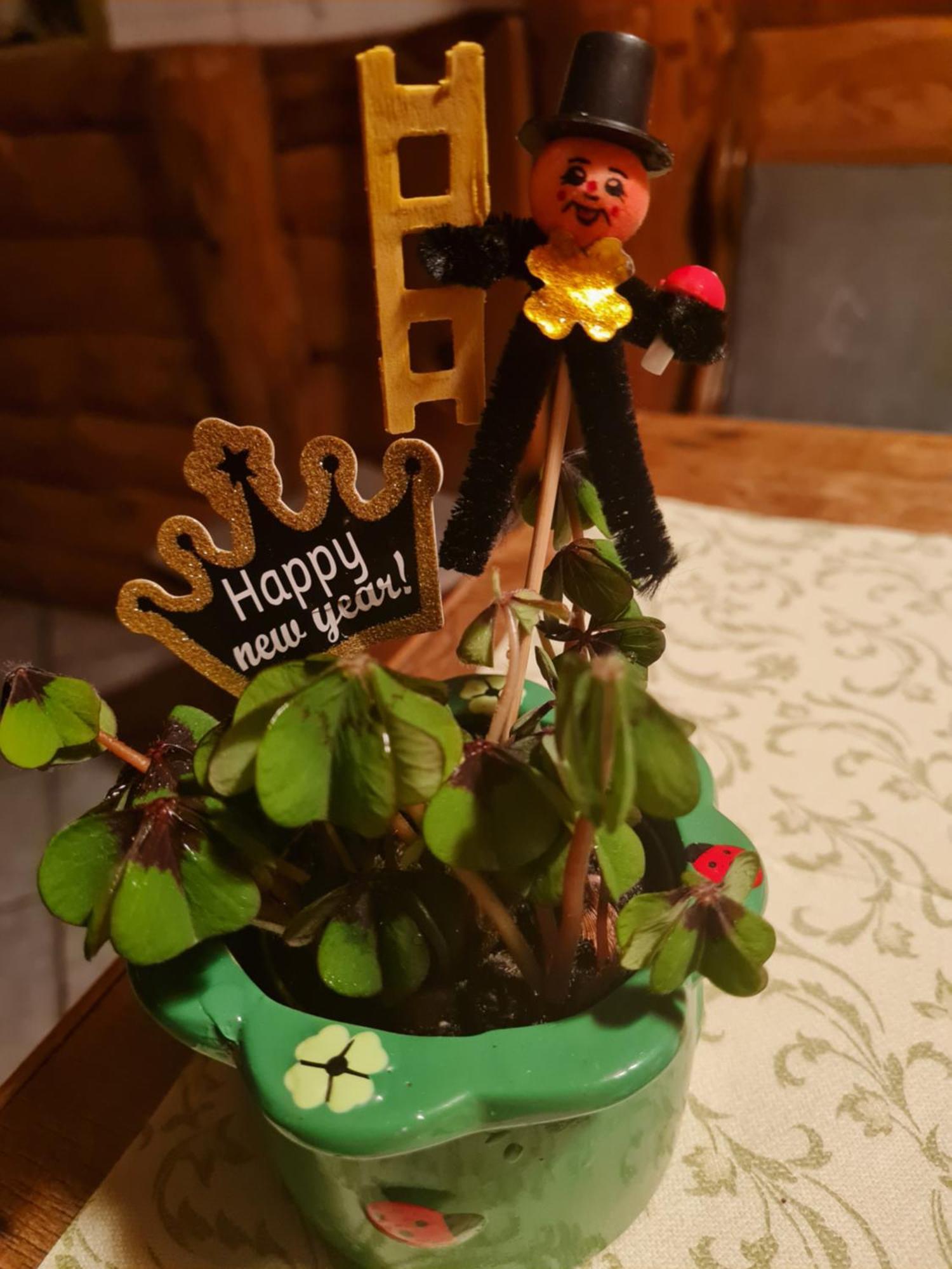 Guest house Und Gaststaette Zur Knappenschaenke *